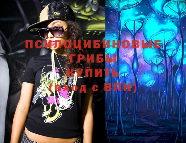 прущие грибы Абинск