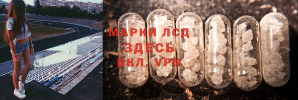 прущие грибы Абинск