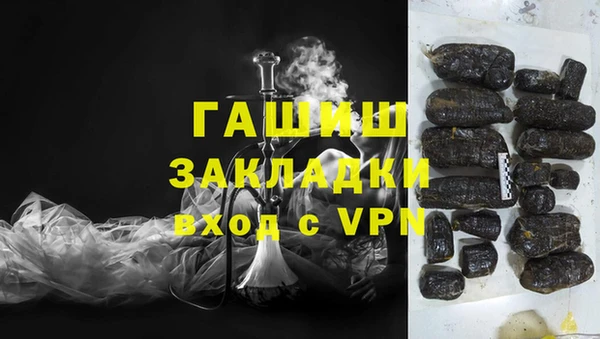 прущие грибы Абинск