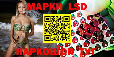ALPHA-PVP Новозыбков