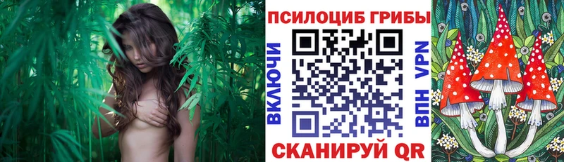 mega ссылка  Ялта  Галлюциногенные грибы мицелий 