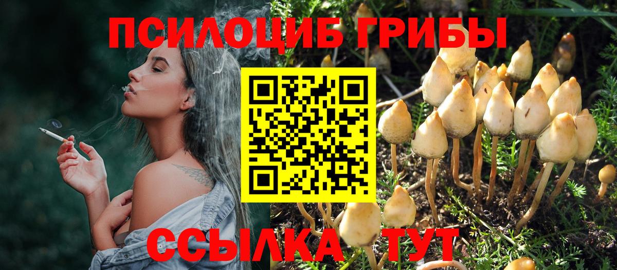 Ялта  Псилоцибиновые грибы MAGIC MUSHROOMS  Вход с VPN 