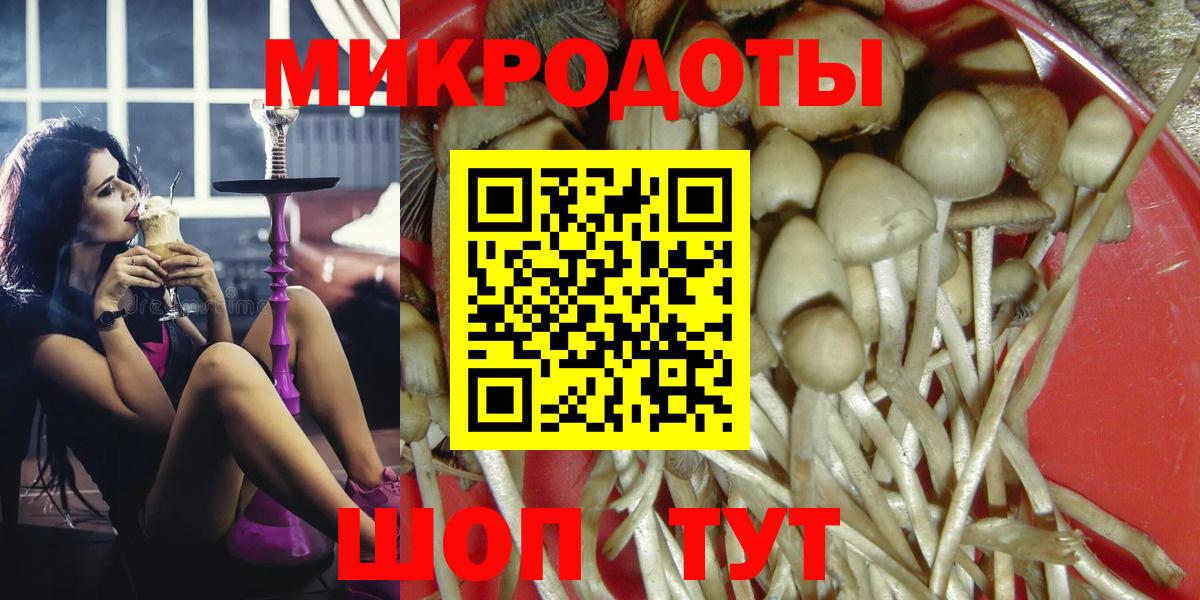 Псилоцибиновые грибы мицелий Ялта